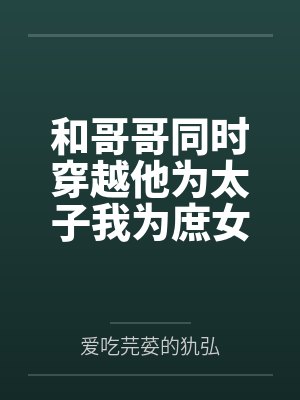 女主叫林半夏的小说封面